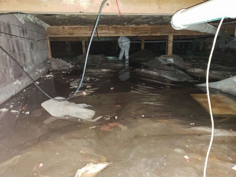Encapsulated Crawlspace with Clean Finish